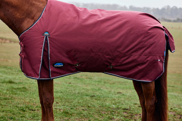 Weatherbeeta Comfitec Prelim Turnout 0G| Online For Equine