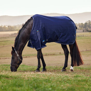 Weatherbeeta Comfitec Prelim Turnout 100G| Online For Equine