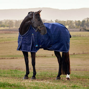 Weatherbeeta Comfitec Prelim Turnout 100G| Online For Equine