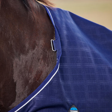 Weatherbeeta Comfitec Prelim Turnout 100G| Online For Equine