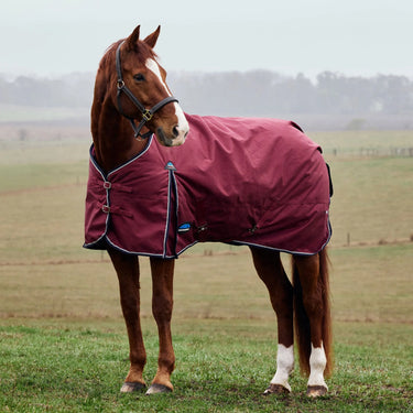 Weatherbeeta Comfitec Prelim Turnout 220G Burgundy/ Navy| Online For Equine