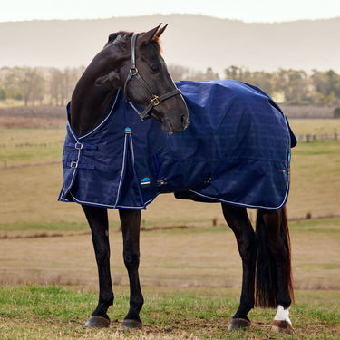 Weatherbeeta Comfitec Prelim Turnout 220G Navy Embossed Plaid| Online For Equine