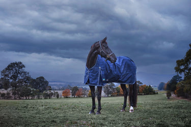 Weatherbeeta Comfitec Prelim Turnout 220G Navy Embossed Plaid| Online For Equine