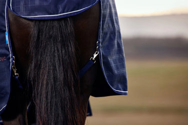 Weatherbeeta Comfitec Prelim Turnout 220G Navy Embossed Plaid| Online For Equine