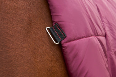 Weatherbeeta Comfitec Prelim Turnout Combo 0G| Online For Equine