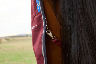 Weatherbeeta Comfitec Prelim Turnout Combo 0G| Online For Equine