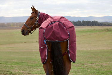 Weatherbeeta Comfitec Prelim Turnout Combo 0G| Online For Equine