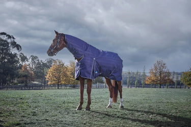 Weatherbeeta Comfitec Prelim Turnout Combo 220G Navy Embossed Plaid| Online For Equine