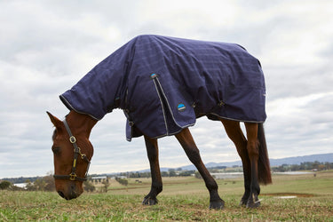 Weatherbeeta Comfitec Prelim Turnout Combo 220G Navy Embossed Plaid| Online For Equine