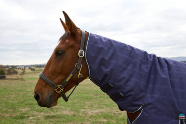 Weatherbeeta Comfitec Prelim Turnout Combo 220G Navy Embossed Plaid| Online For Equine