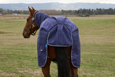 Weatherbeeta Comfitec Prelim Turnout Combo 220G Navy Embossed Plaid| Online For Equine