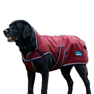 Weatherbeeta Comfitec Premier Deluxe Waterproof Dog Coat Burgundy/ Navy| Online For Equine