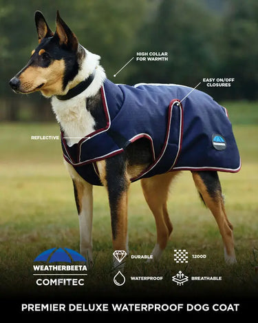 Buy Weatherbeeta Comfitec Premier Deluxe Waterproof Dog Coat Navy/Burgundy | Online for Equine