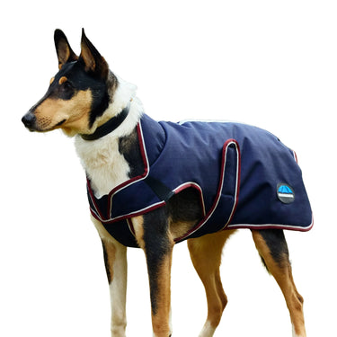 Weatherbeeta Comfitec Premier Deluxe Waterproof Dog Coat Navy/ Burgundy| Online For Equine