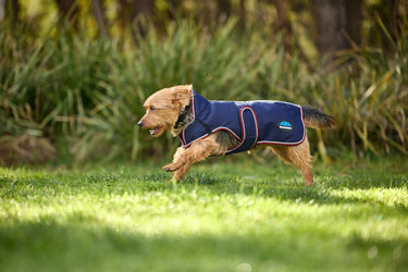 Weatherbeeta Comfitec Premier Deluxe Waterproof Dog Coat Navy/ Burgundy| Online For Equine