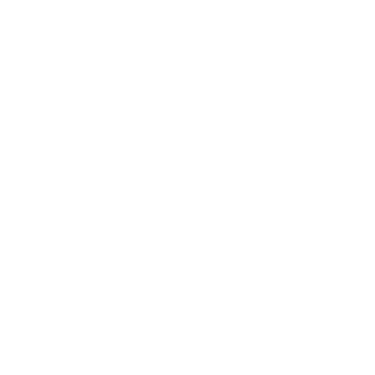 Weatherbeeta Comfitec Premier Deluxe Waterproof Dog Coat Navy/ Burgundy| Online For Equine