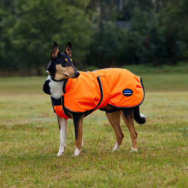 Weatherbeeta Comfitec Reflective 300D Deluxe Showerproof Dog Coat Orange| Online For Equine
