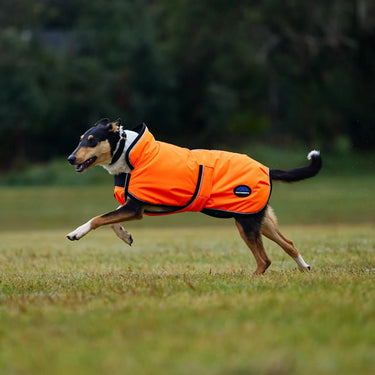 Weatherbeeta Comfitec Reflective 300D Deluxe Showerproof Dog Coat Orange| Online For Equine