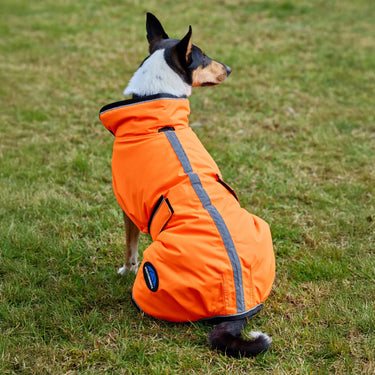Weatherbeeta Comfitec Reflective 300D Deluxe Showerproof Dog Coat Orange| Online For Equine