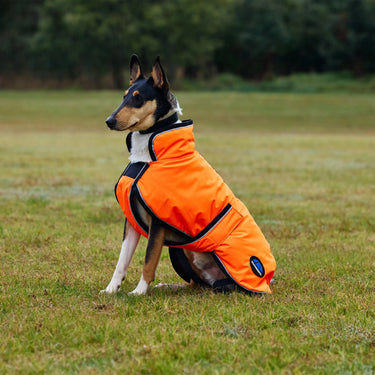 Weatherbeeta Comfitec Reflective 300D Deluxe Showerproof Dog Coat Orange| Online For Equine