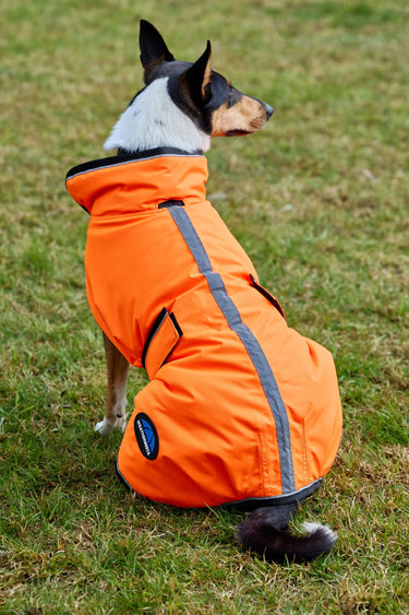 Buy Weatherbeeta Comfitec Reflective 300D Deluxe Showerproof Dog Coat Orange | Online for Equine