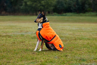 Buy Weatherbeeta Comfitec Reflective 300D Deluxe Showerproof Dog Coat Orange | Online for Equine