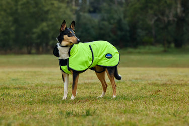 Buy Weatherbeeta Comfitec Reflective 300D Deluxe Showerproof Dog Coat Yellow | Online for Equine