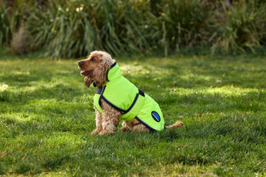 Buy Weatherbeeta Comfitec Reflective 300D Deluxe Showerproof Dog Coat Yellow | Online for Equine