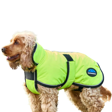 Buy Weatherbeeta Comfitec Reflective 300D Deluxe Showerproof Dog Coat Yellow | Online for Equine