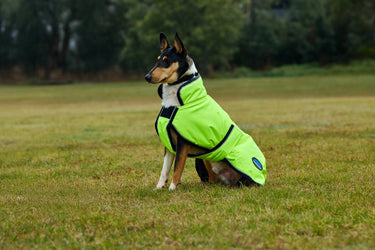 Weatherbeeta Comfitec Reflective 300D Deluxe Showerproof Dog Coat Yellow| Online For Equine