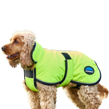 Weatherbeeta Comfitec Reflective 300D Deluxe Showerproof Dog Coat Yellow| Online For Equine