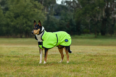 Weatherbeeta Comfitec Reflective 300D Deluxe Showerproof Dog Coat Yellow| Online For Equine