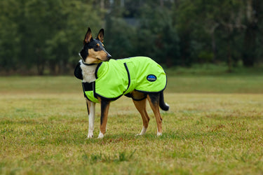 Weatherbeeta Comfitec Reflective 300D Deluxe Showerproof Dog Coat Yellow| Online For Equine