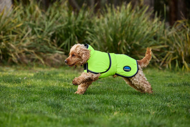 Weatherbeeta Comfitec Reflective 300D Deluxe Showerproof Dog Coat Yellow| Online For Equine