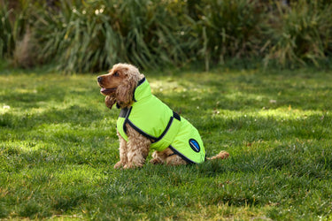 Weatherbeeta Comfitec Reflective 300D Deluxe Showerproof Dog Coat Yellow| Online For Equine