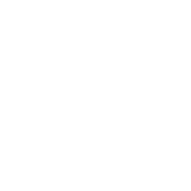 Weatherbeeta Comfitec Reflective 300D Deluxe Showerproof Dog Coat Yellow| Online For Equine