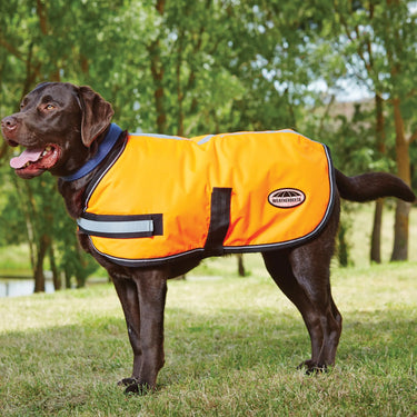 Buy Weatherbeeta Comfitec Reflective Parka 300D Orange Dog Coat | Online for Equine