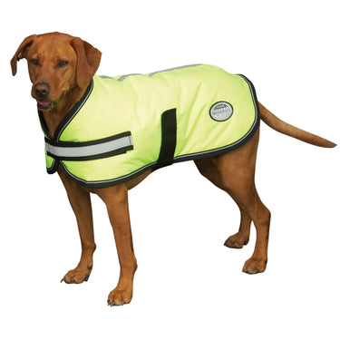 Buy Weatherbeeta Comfitec Reflective Parka 300D Yellow Dog Coat | Online for Equine