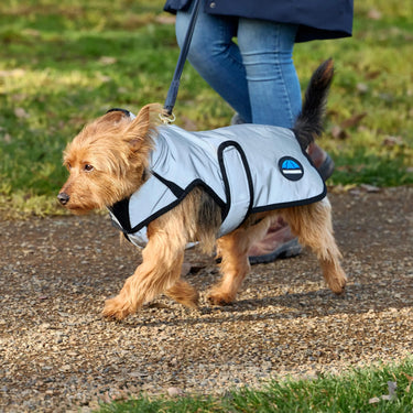 Weatherbeeta Comfitec Reflective Showerproof Dog Coat| Online For Equine