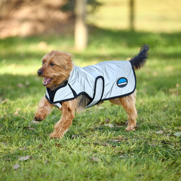 Weatherbeeta Comfitec Reflective Showerproof Dog Coat| Online For Equine
