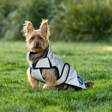 Weatherbeeta Comfitec Reflective Showerproof Dog Coat| Online For Equine