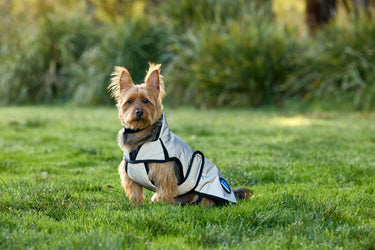 Buy Weatherbeeta Comfitec Reflective Showerproof Dog Coat Silver | Online for Equine