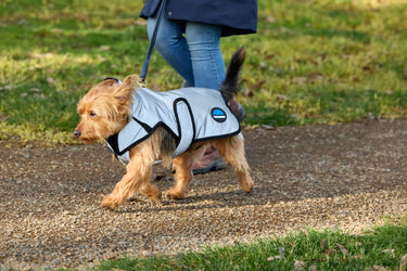 Buy Weatherbeeta Comfitec Reflective Showerproof Dog Coat Silver | Online for Equine