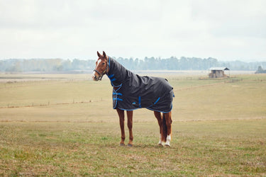 Weatherbeeta Comfitec Tyro Turnout Combo Neck 220G Navy/ Charcoal| Online For Equine