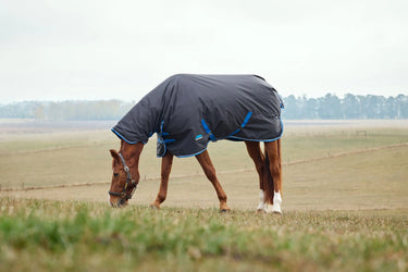 Weatherbeeta Comfitec Tyro Turnout Combo Neck 220G Navy/ Charcoal| Online For Equine