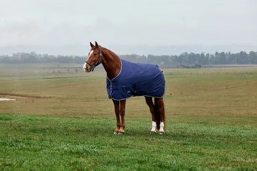 Weatherbeeta Comfitec Tyro Turnout Standard Neck 220G Navy/ Charcoal| Online For Equine