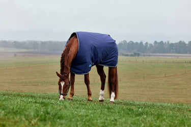 Weatherbeeta Comfitec Tyro Turnout Standard Neck 220G Navy/ Charcoal| Online For Equine