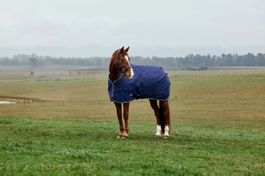 Weatherbeeta Comfitec Tyro Turnout Standard Neck 220G Navy/ Charcoal| Online For Equine