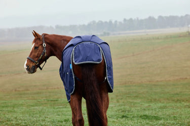 Weatherbeeta Comfitec Tyro Turnout Standard Neck 220G Navy/ Charcoal| Online For Equine