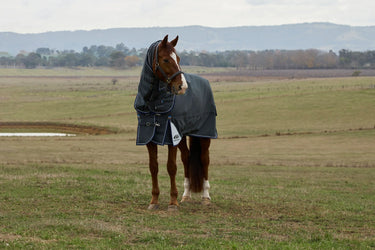Weatherbeeta Comfitec Ultra Turnout Detach-A-Neck 100G Charcoal| Online For Equine